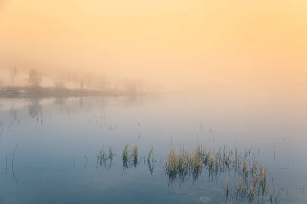 Ein schöner, farbenfroher nebliger Morgen in Norwegen am See. Baumreflexionen im Wasser. neblige Herbstlandschaft. ruhige nordische Landschaft. — Stockfoto