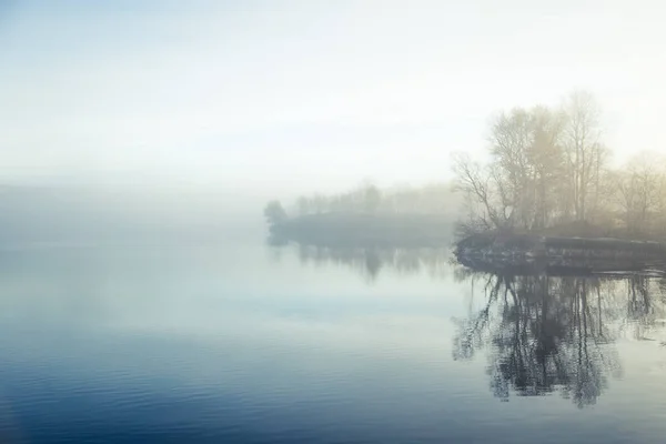ノルウェーの湖で美しく、カラフルな霧の朝。水の反射でツリー。霧の秋の風景です。穏やかな北欧の風景. — ストック写真