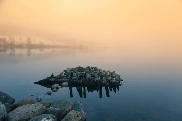 En vacker morgon vacker natur vid sjön i Norge. Lugna höstlandskap. Klippformation i en förgrund. Färgstarka landskap med mist. — Stockfoto