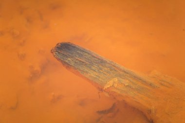 Eski bir turuncu paslı su benim kışın Norveç'te bakır. Parlak renk akışı ayrıntıları, portre.