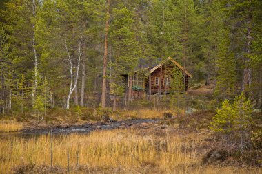 Sonbaharda Norveç orman içinden akan güzel bir nehir. Sonbaharın renkli manzara.