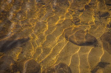 Sonbaharda Norveç orman içinden akan güzel bir nehir. Sonbaharın renkli manzara.