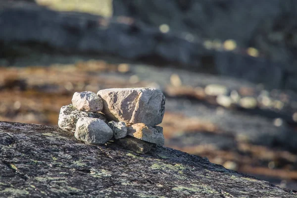 Merkez Norveç'te bir güzel dağ manzarası Güz. Güzel, renkli sahne deniz seviyesinden yüksek.