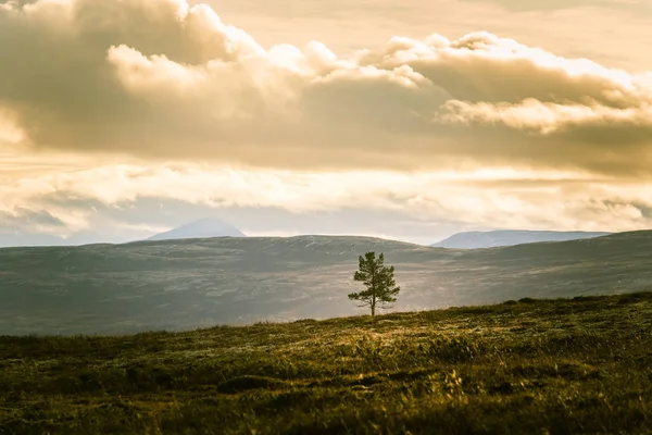 Ett vackert bergslandskap i höst i mellersta Norge. Vackra, färgstarka landskap högt ovanför havet-jämna. — Stockfoto