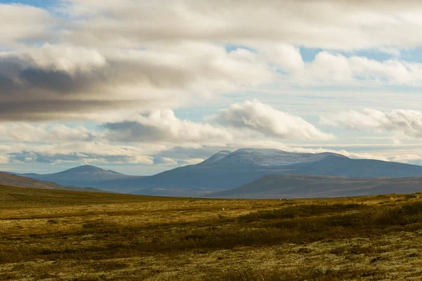 Ett vackert bergslandskap i höst i mellersta Norge. Vackra, färgstarka landskap högt ovanför havet-jämna. — Stockfoto