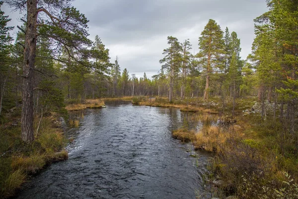 Красива річка, що протікає через норвезький ліс восени. Барвистий пейзаж падіння. — стокове фото