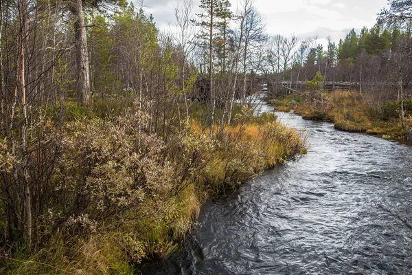 Sonbaharda Norveç orman içinden akan güzel bir nehir. Sonbaharın renkli manzara.