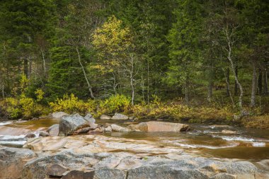 Merkezi bir Norveç'te güzel bir şelale. Nehirde renkli sonbahar manzara. Doğal sonbahar sahne.