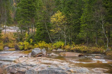 Merkezi bir Norveç'te güzel bir şelale. Nehirde renkli sonbahar manzara. Doğal sonbahar sahne.