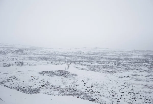 Ένα όμορφο τοπίο Νορβηγικά σε πρώτο χιόνι στο φθινόπωρο. Λευκό, χιονισμένο τοπίο. — Φωτογραφία Αρχείου