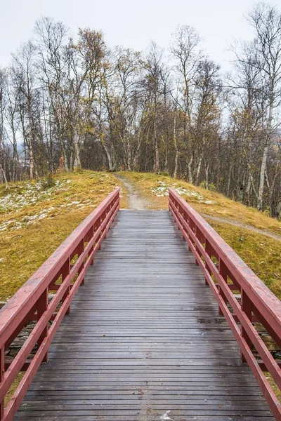 아름 다운가 풍경 노르웨이에 나무 다리와 함께. 색채, 자연 풍경. — 스톡 사진