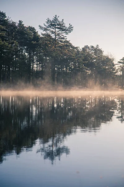 Un bel étang marécageux avec une brume levante au lever du soleil. Quagmire dans une zone humide froncée à l'automne. Lumière vive avec des éruptions solaires. Beaux paysages en Lettonie . — Photo
