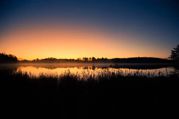 調達の霧で湖の美しい日の出。ラトビアの湿地帯の美しい朝。明るい色の秋の風景. — ストック写真