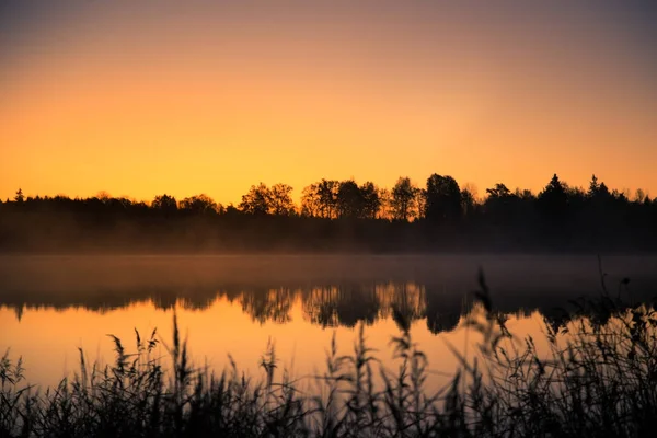 Um belo nascer do sol num lago com uma névoa. Bela manhã em zonas húmidas na Letónia. Paisagem de outono em cores brilhantes . — Fotografia de Stock