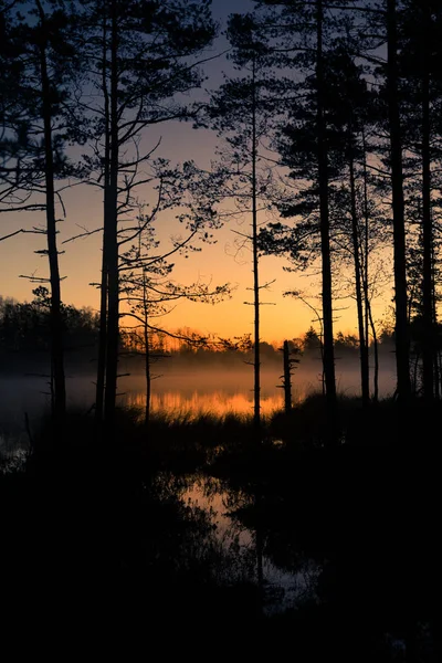 Um belo nascer do sol num lago com uma névoa. Bela manhã em zonas húmidas na Letónia. Paisagem de outono em cores brilhantes . — Fotografia de Stock