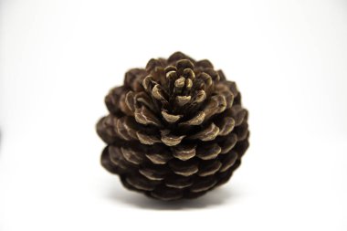 Beyaz zemin üzerinde bir çam kozalağı bir güzel closeup. Winter Tema.