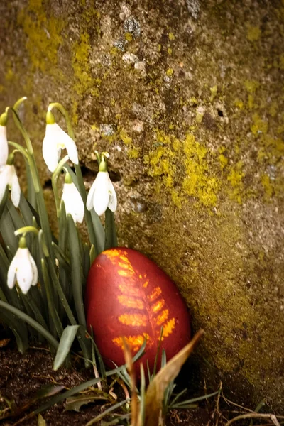 Beautiful Colored Red Easter Egg Backyard Traditional Spring Food Festival — Stock Photo, Image