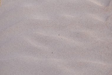 Güzel bir desen beyaz kum üzerinde bir plaj Baltık Denizi. Yukarı bak, doğal arka plan.