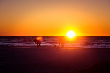 Ambers toplama bir gün batımı sahilde insanlar yürürken, insanlar. Aile ile güzel bir akşam yürümek. Baltık Denizi kış günbatımı. Renkli arka plan üzerinde siluetleri.