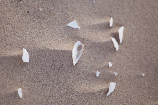 Ett Vackert Mönster Vit Sand Stranden Östersjön Närbild Utseende Naturlig — Stockfoto