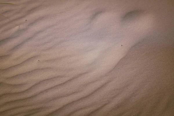 모래에 비치의 패턴입니다 — 스톡 사진