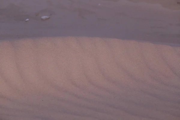 バルト海のビーチの白い砂の美しいパターン クローズ アップを見ると 自然な背景 — ストック写真