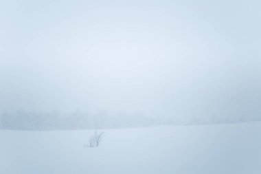 Yoğun kar yağışı güzel bir minimalist manzarada. Blizzard Merkez Norveç'te.
