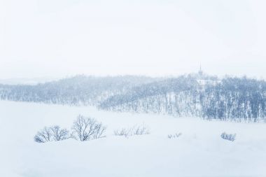 Yoğun kar yağışı güzel bir minimalist manzarada. Blizzard Merkez Norveç'te.