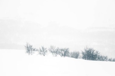 Yoğun kar yağışı güzel bir minimalist manzarada. Blizzard Merkez Norveç'te.