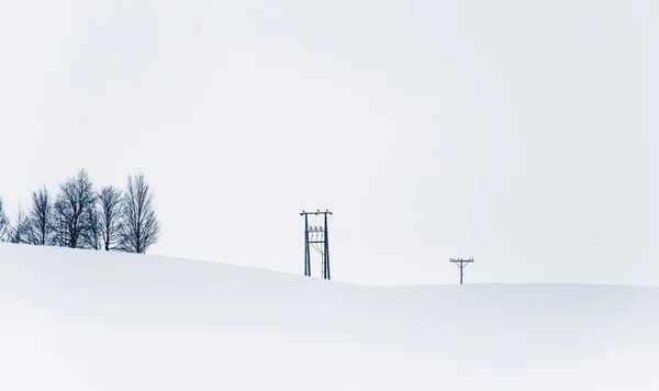 Bellissimo Paesaggio Minimalista Una Fitta Nevicata Blizzard Nella Norvegia Centrale — Foto Stock