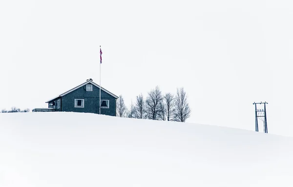 Piękny Krajobraz Minimalistyczny Obfitych Opadów Śniegu Blizzard Środkowej Norwegii — Zdjęcie stockowe