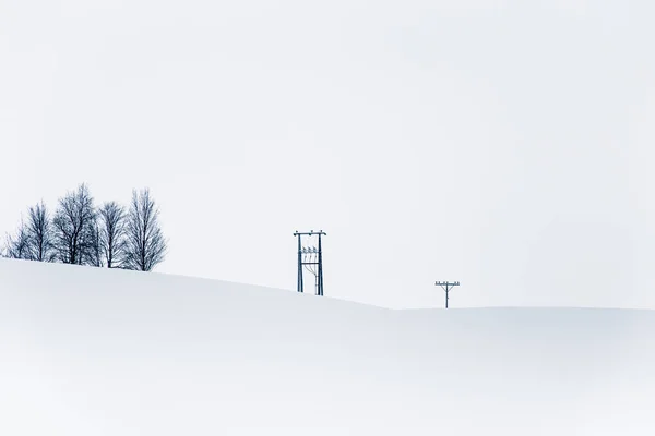 Bellissimo Paesaggio Minimalista Una Fitta Nevicata Blizzard Nella Norvegia Centrale — Foto Stock