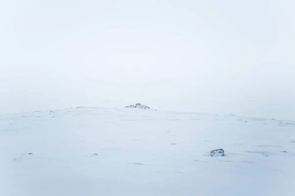 Een Mooi Minimalistisch Landschap Zware Sneeuwval Blizzard Centraal Noorwegen — Stockfoto