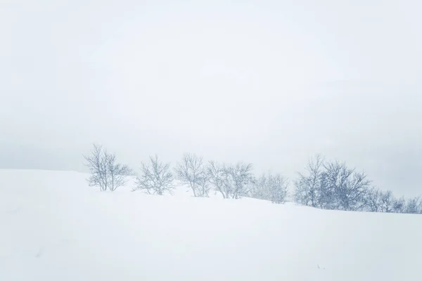Uma Bela Paisagem Minimalista Queda Neve Pesada Nevasca Centro Noruega — Fotografia de Stock