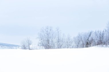 Karlı ağaçlar ve dağlar bir mesafede merkezi Norveç'te bir güzel kış manzarası.