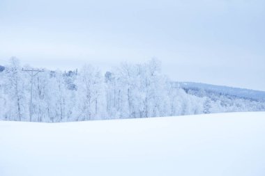 Karlı ağaçlar ve dağlar bir mesafede merkezi Norveç'te bir güzel kış manzarası.