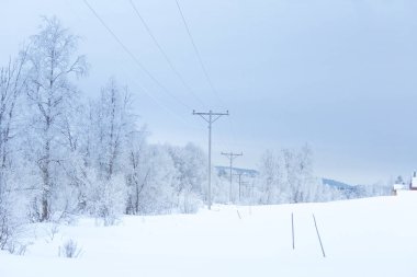 Karlı ağaçlar ve dağlar bir mesafede merkezi Norveç'te bir güzel kış manzarası.