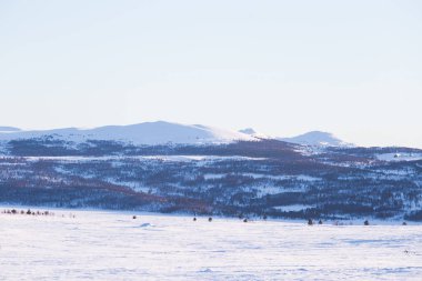 Karlı ağaçlar ve dağlar bir mesafede merkezi Norveç'te bir güzel kış manzarası.