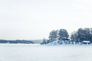 Donmuş bir gölün Merkez Norveç'te güzel bir minimalist manzara. Ağaçları ile geniş karlı alan.