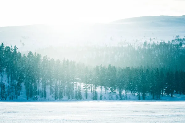 Een Prachtige Winterlandschap Met Besneeuwde Bomen Bergen Een Afstand Centraal — Stockfoto