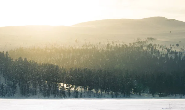 Ett Vackert Vinterlandskap Med Snöiga Träd Och Berg Distansera Centrala — Stockfoto