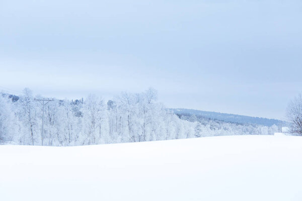 Красивый зимний пейзаж с заснеженными деревьями и горами вдали в центральной Норвегии
.