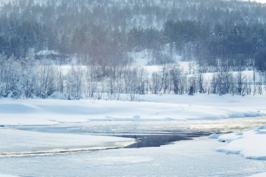 Bir ağaçta bir banka ile güzel donmuş nehir. Merkez Norveç'in beyaz kış manzarası. Işık sahne.