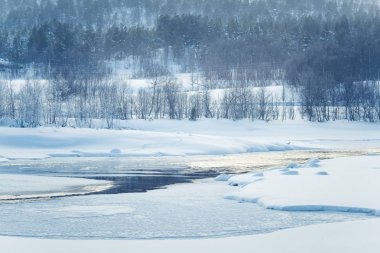 Bir ağaçta bir banka ile güzel donmuş nehir. Merkez Norveç'in beyaz kış manzarası. Işık sahne.