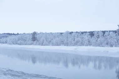 Bir ağaçta bir banka ile güzel donmuş nehir. Merkez Norveç'in beyaz kış manzarası. Işık sahne.