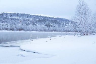 Bir ağaçta bir banka ile güzel donmuş nehir. Merkez Norveç'in beyaz kış manzarası. Işık sahne.