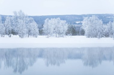Bir ağaçta bir banka ile güzel donmuş nehir. Merkez Norveç'in beyaz kış manzarası. Işık sahne.