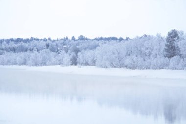 Bir ağaçta bir banka ile güzel donmuş nehir. Merkez Norveç'in beyaz kış manzarası. Işık sahne.