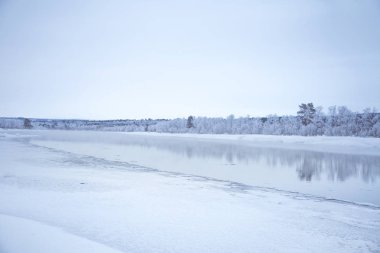 Bir ağaçta bir banka ile güzel donmuş nehir. Merkez Norveç'in beyaz kış manzarası. Işık sahne.