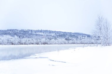 Bir ağaçta bir banka ile güzel donmuş nehir. Merkez Norveç'in beyaz kış manzarası. Işık sahne.